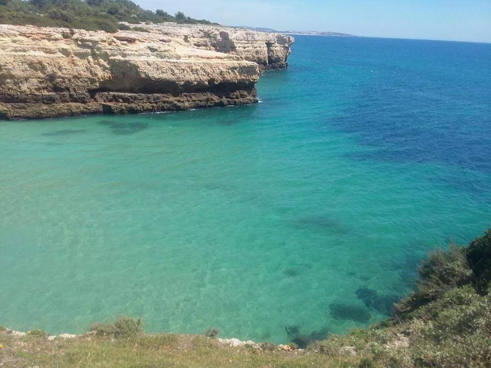 Al Algarve - Alojamento Local Com Excelente Localizacao Carvoeiro  Exteriör bild